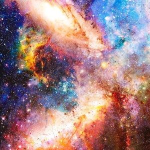 Meet your Posher, Cody